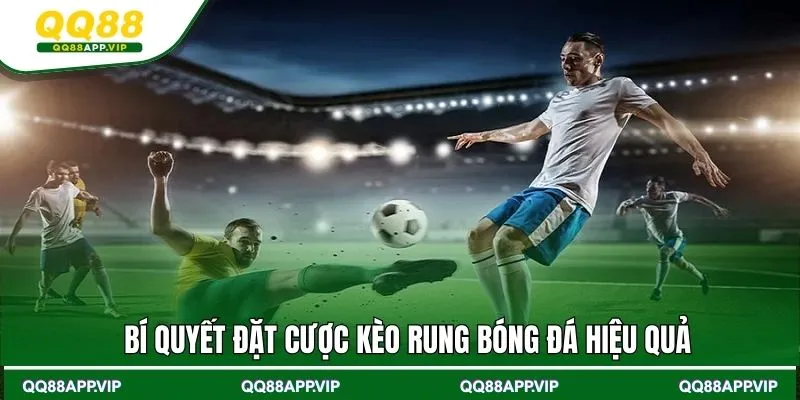 Vận dụng tốt mẹo cá cược khi chơi kèo rung bóng đá