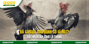 Đá Gà Cựa Dao QQ88 Có Gì Hot? Bật Mí Bí Kíp Chơi Là Thắng