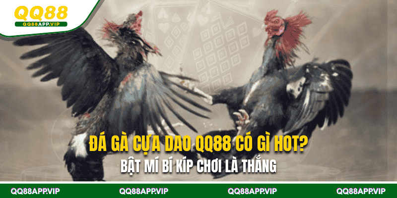 Đá Gà Cựa Dao QQ88 Có Gì Hot? Bật Mí Bí Kíp Chơi Là Thắng