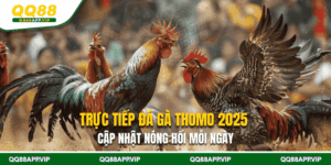 Trực Tiếp Đá Gà Thomo 2025 – Cập Nhật Nóng Hổi Mỗi Ngày